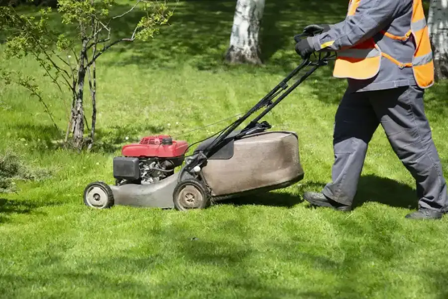 Professional Lawn Care Company in Wakefield MA