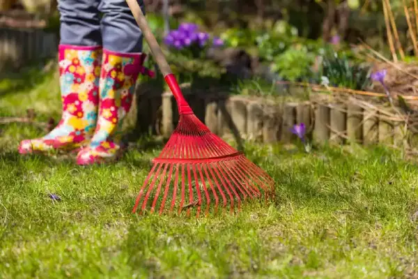 Seasonal Cleanups Seasonal Cleanups
